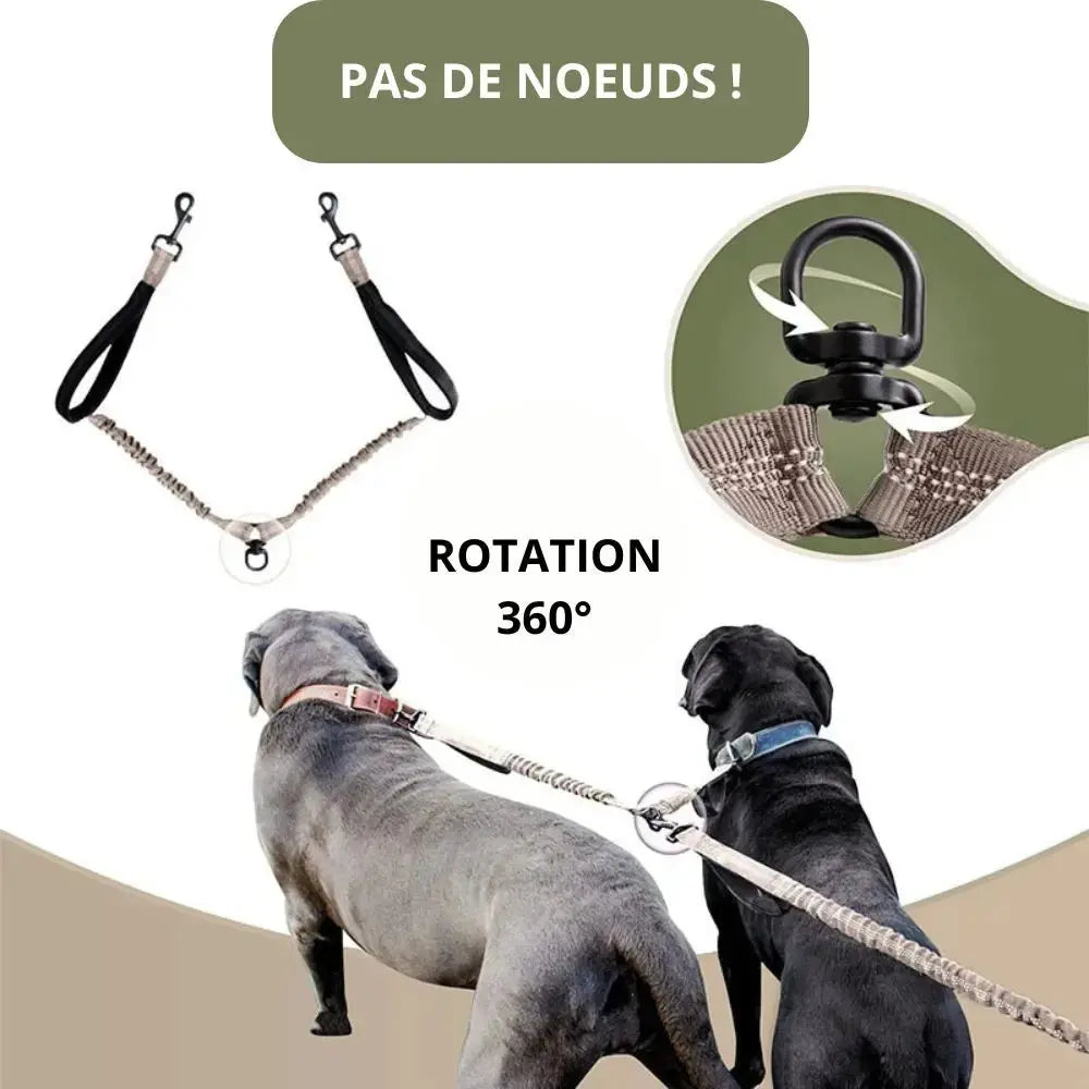 Canicross | Laisse mains libres double pour Chien avec Ceinture, qualité Premium Dog Spirit