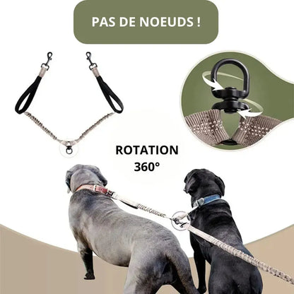 Canicross | Laisse mains libres double pour Chien avec Ceinture, qualité Premium Dog Spirit