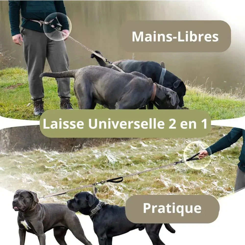 Canicross | Laisse mains libres double pour Chien avec Ceinture, qualité Premium Dog Spirit