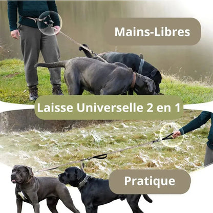 Canicross | Laisse mains libres double pour Chien avec Ceinture, qualité Premium Dog Spirit