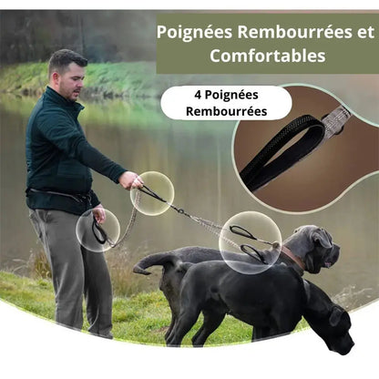 Canicross | Laisse mains libres double pour Chien avec Ceinture, qualité Premium Dog Spirit