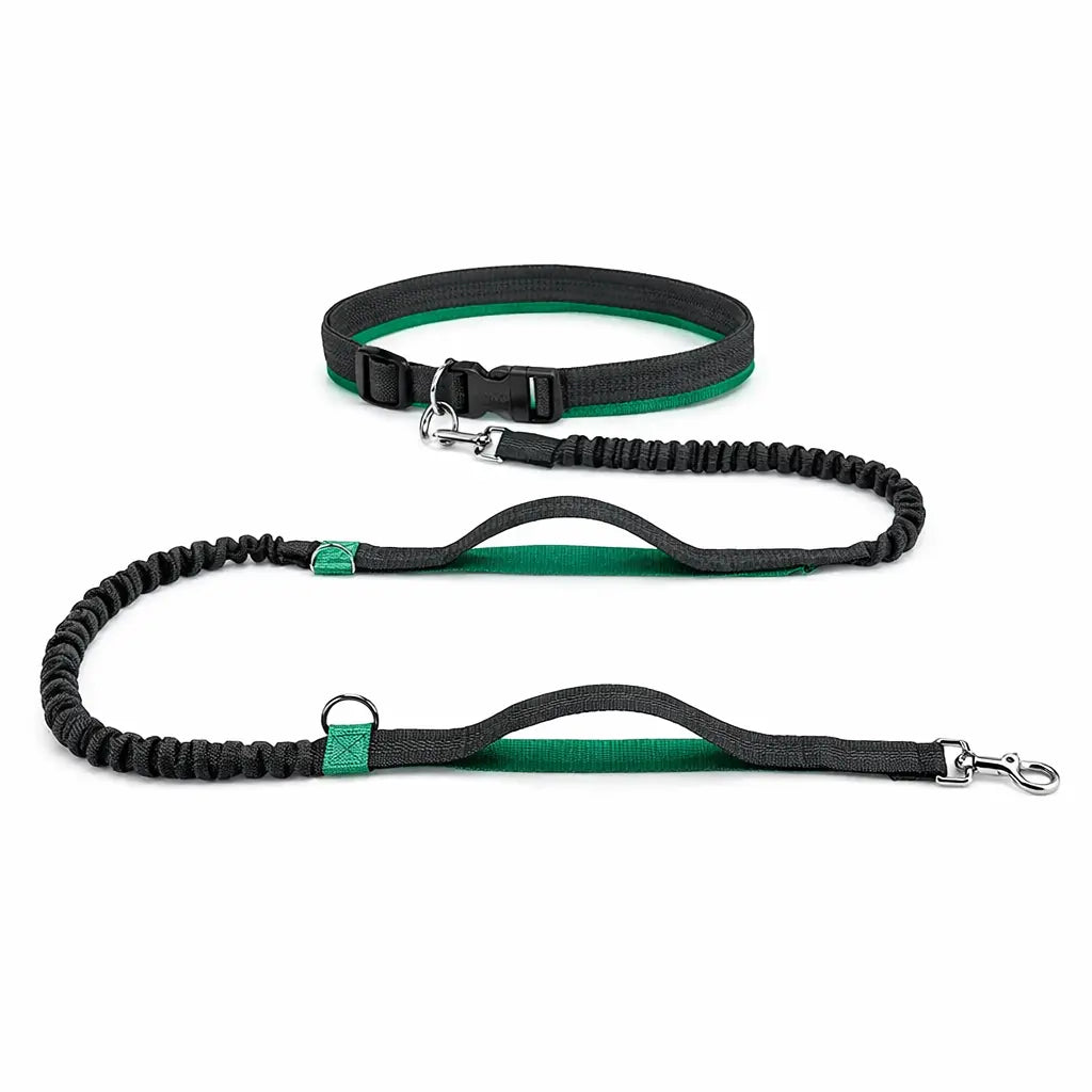 Canicross |  Laisse mains libres pour chien – Ceinture de course avec corde élastique réfléchissante Dog Spirit