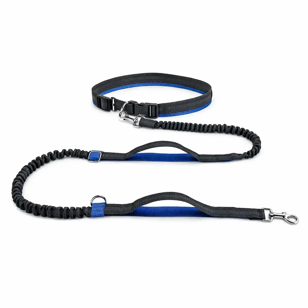 Canicross |  Laisse mains libres pour chien – Ceinture de course avec corde élastique réfléchissante Dog Spirit