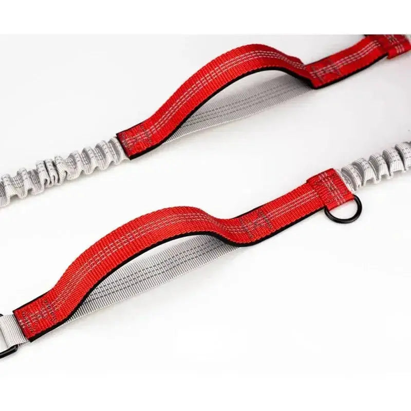 Canicross |  Laisse mains libres pour chien – Ceinture de course avec corde élastique réfléchissante Dog Spirit