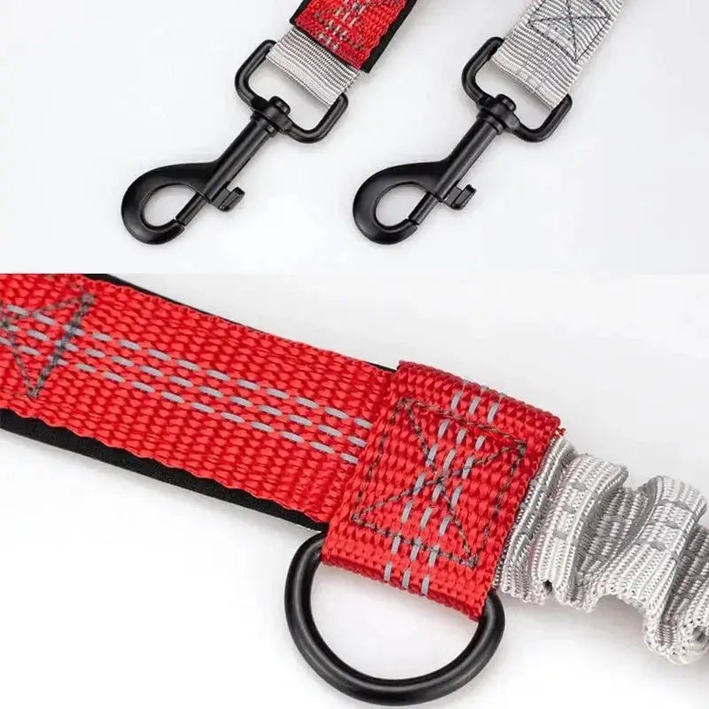 Canicross |  Laisse mains libres pour chien – Ceinture de course avec corde élastique réfléchissante Dog Spirit