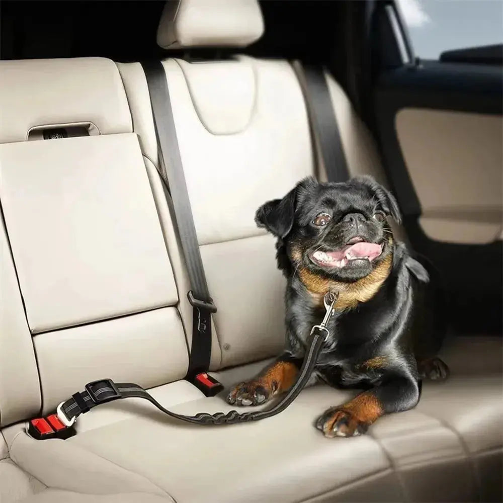 Ceinture de sécurité réfléchissante pour chien - un voyage en voiture sûr et sécurisé Dog Spirit