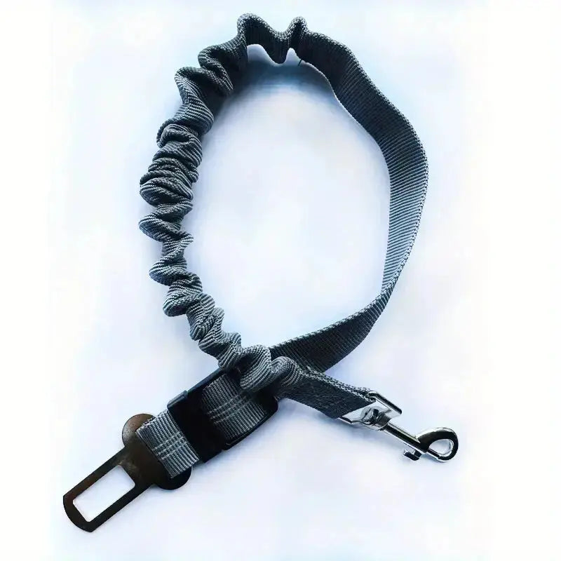 Ceinture de sécurité réfléchissante pour chien - un voyage en voiture sûr et sécurisé Dog Spirit