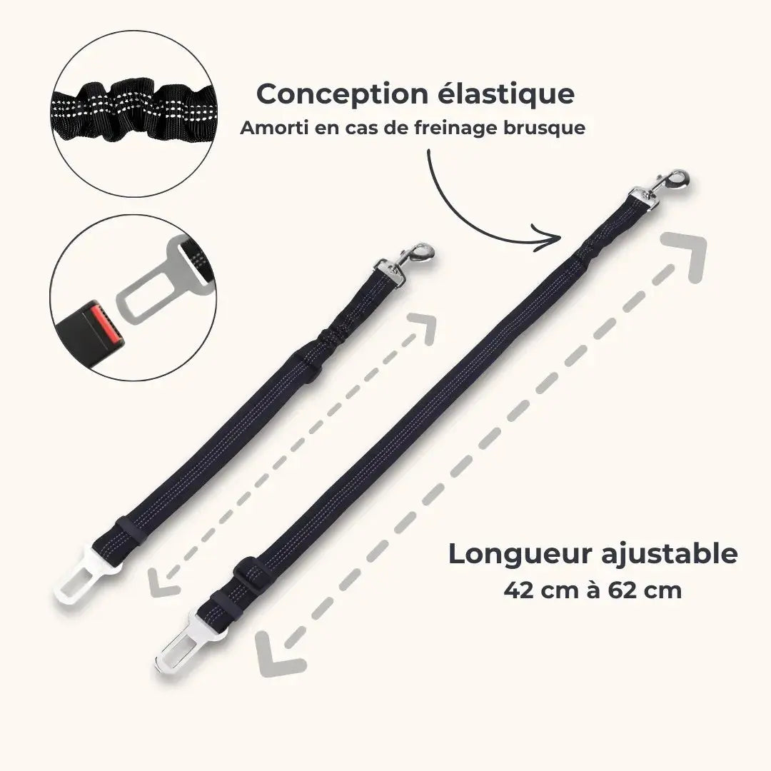 Ceinture de sécurité réfléchissante pour chien - un voyage en voiture sûr et sécurisé Dog Spirit