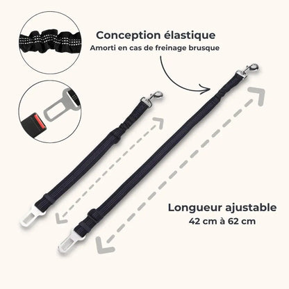Ceinture de sécurité réfléchissante pour chien - un voyage en voiture sûr et sécurisé Dog Spirit