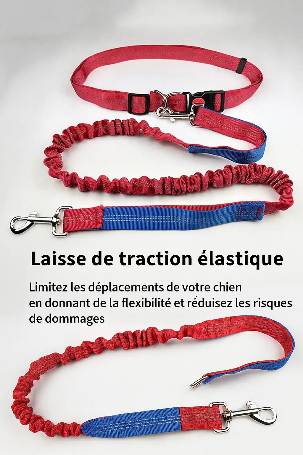 Canicross | Laisse Ceinture  pour chien élastique Dog Spirit