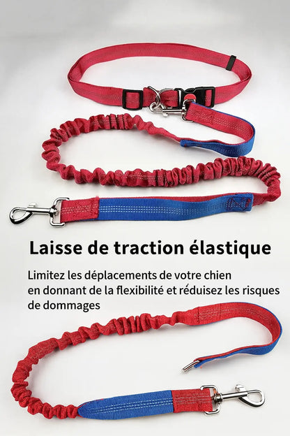 Canicross | Laisse Ceinture  pour chien élastique Dog Spirit