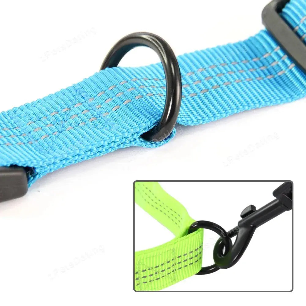 Collier GPS pour Chien TrackPaw™ Pro – Compatible AirTag Apple | Sécurité & Sport Canicross Dog Spirit