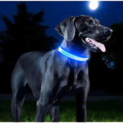 Collier LED rechargeable pour chien – 3 modes lumineux – Détachable – Sécurité nuit