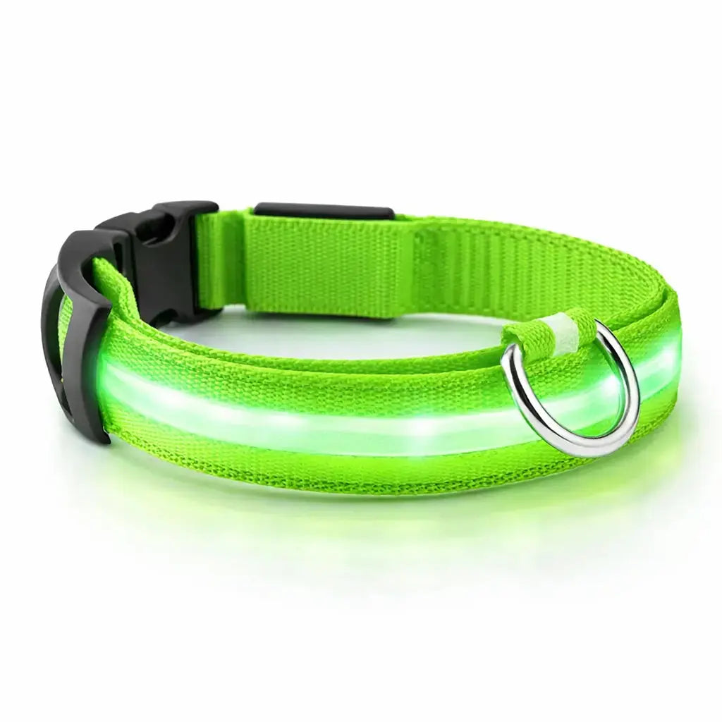 Collier LED rechargeable pour chien – 3 modes lumineux – Détachable – Sécurité nuit Dog Spirit