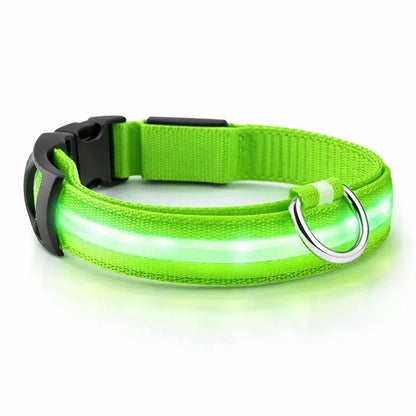 Collier LED rechargeable pour chien – 3 modes lumineux – Détachable – Sécurité nuit Dog Spirit