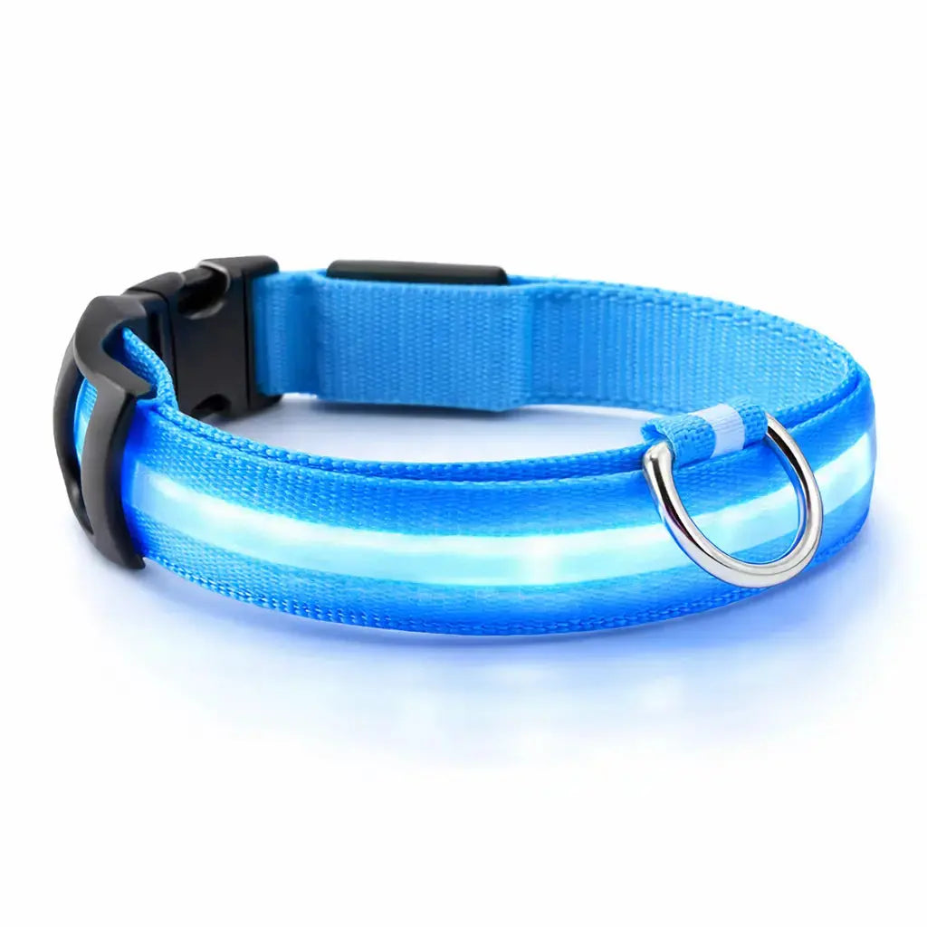 Collier LED rechargeable pour chien – 3 modes lumineux – Détachable – Sécurité nuit Dog Spirit