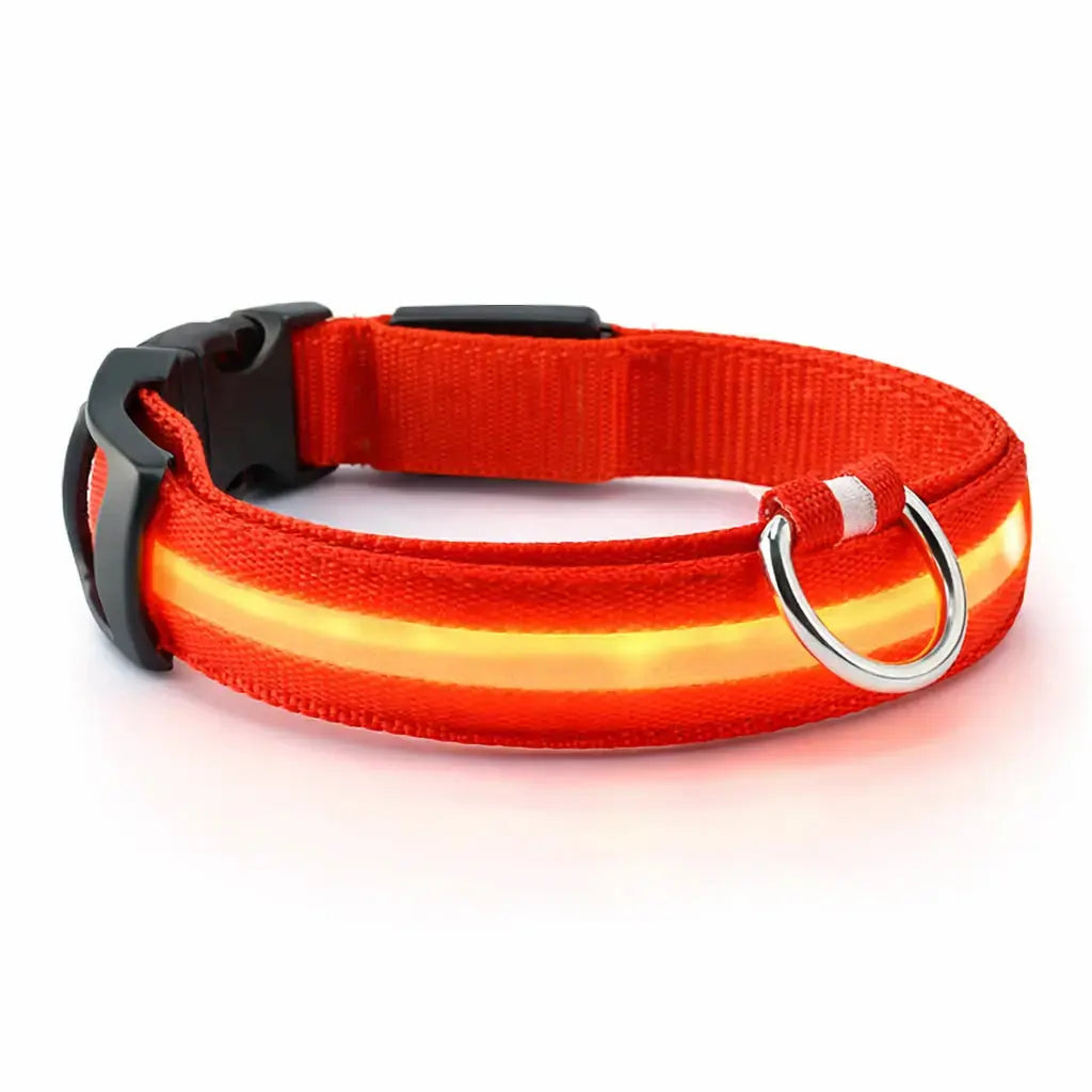 Collier LED rechargeable pour chien – 3 modes lumineux – Détachable – Sécurité nuit Dog Spirit