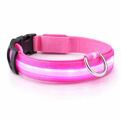 Collier LED rechargeable pour chien – 3 modes lumineux – Détachable – Sécurité nuit Dog Spirit