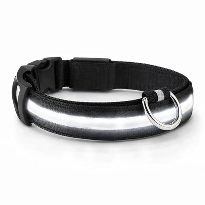 Collier LED rechargeable pour chien – 3 modes lumineux – Détachable – Sécurité nuit Dog Spirit