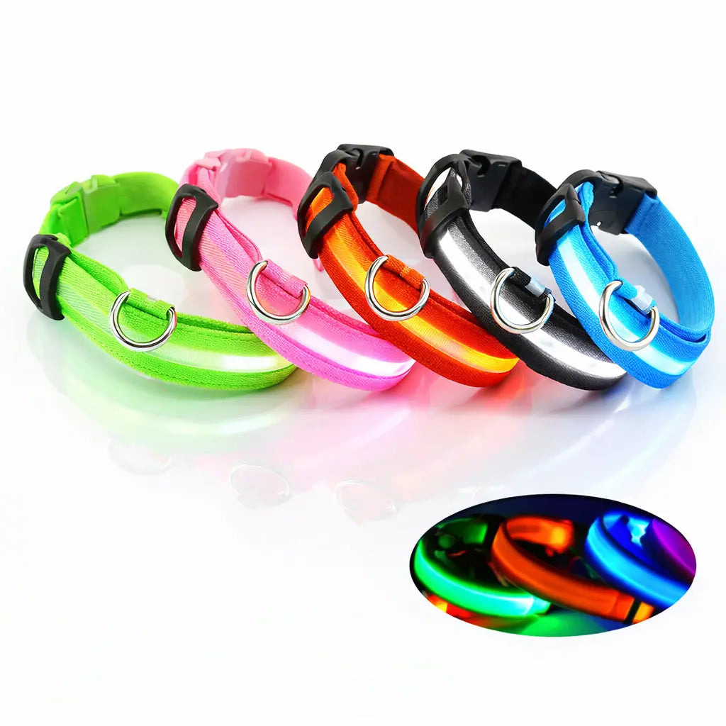 Collier LED rechargeable pour chien – 3 modes lumineux – Détachable – Sécurité nuit