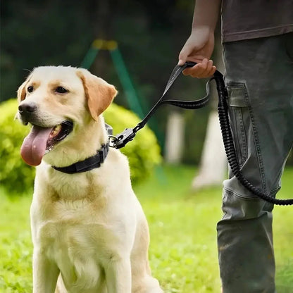 DualGrip – Laisse tactique pour chien double poignée élastique et solide Dog Spirit