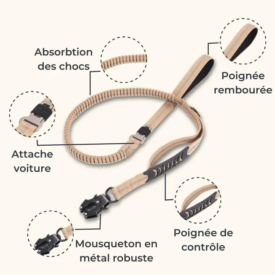 DualGrip – Laisse tactique pour chien double poignée élastique et solide Dog Spirit