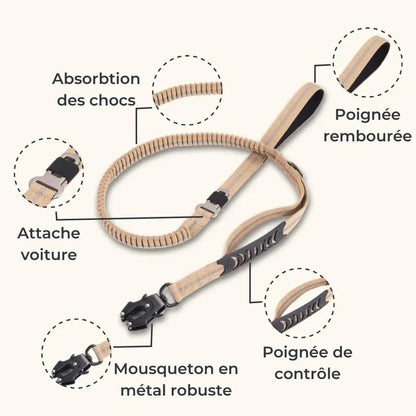 DualGrip – Laisse tactique pour chien double poignée élastique et solide Dog Spirit
