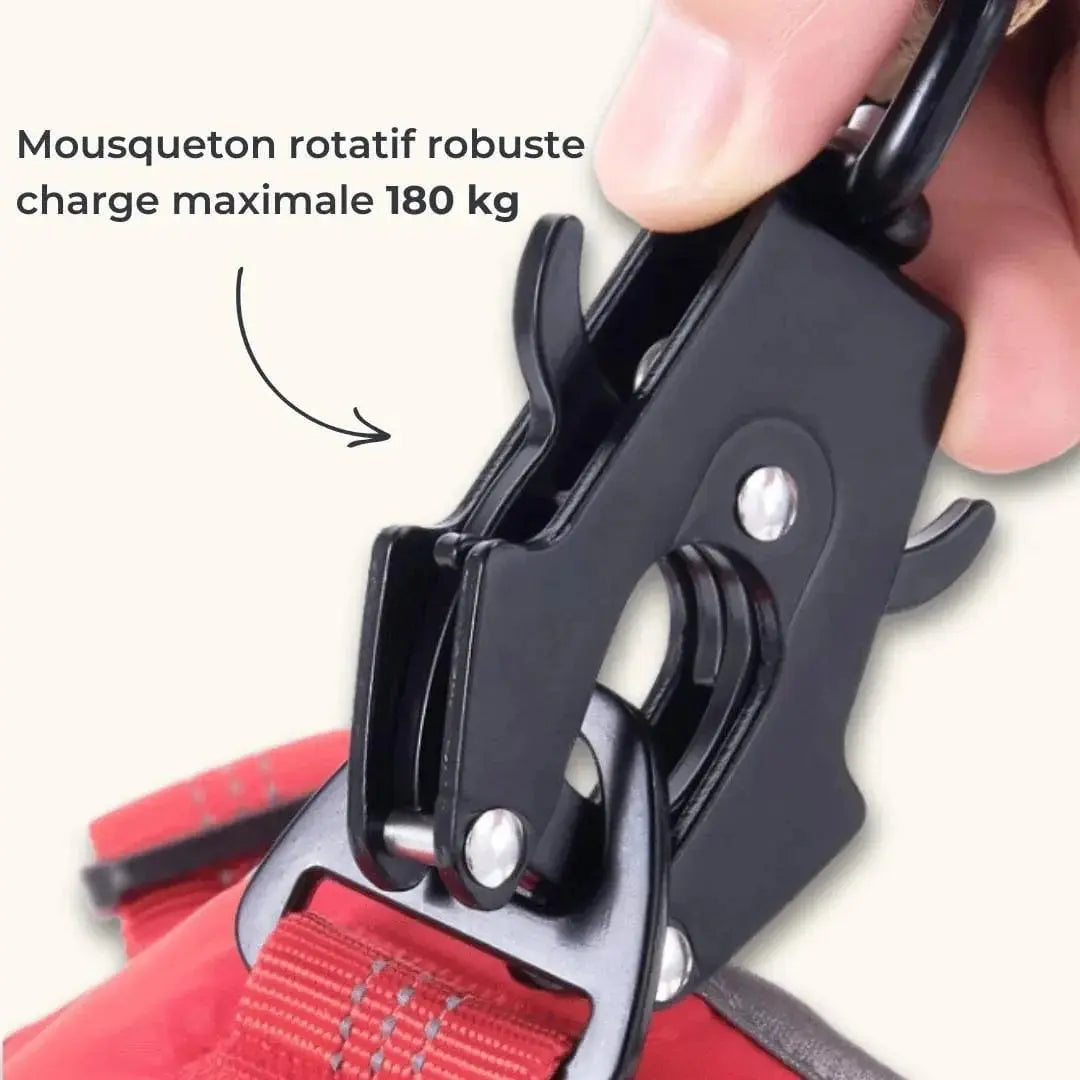 DualGrip – Laisse tactique pour chien double poignée élastique et solide Dog Spirit