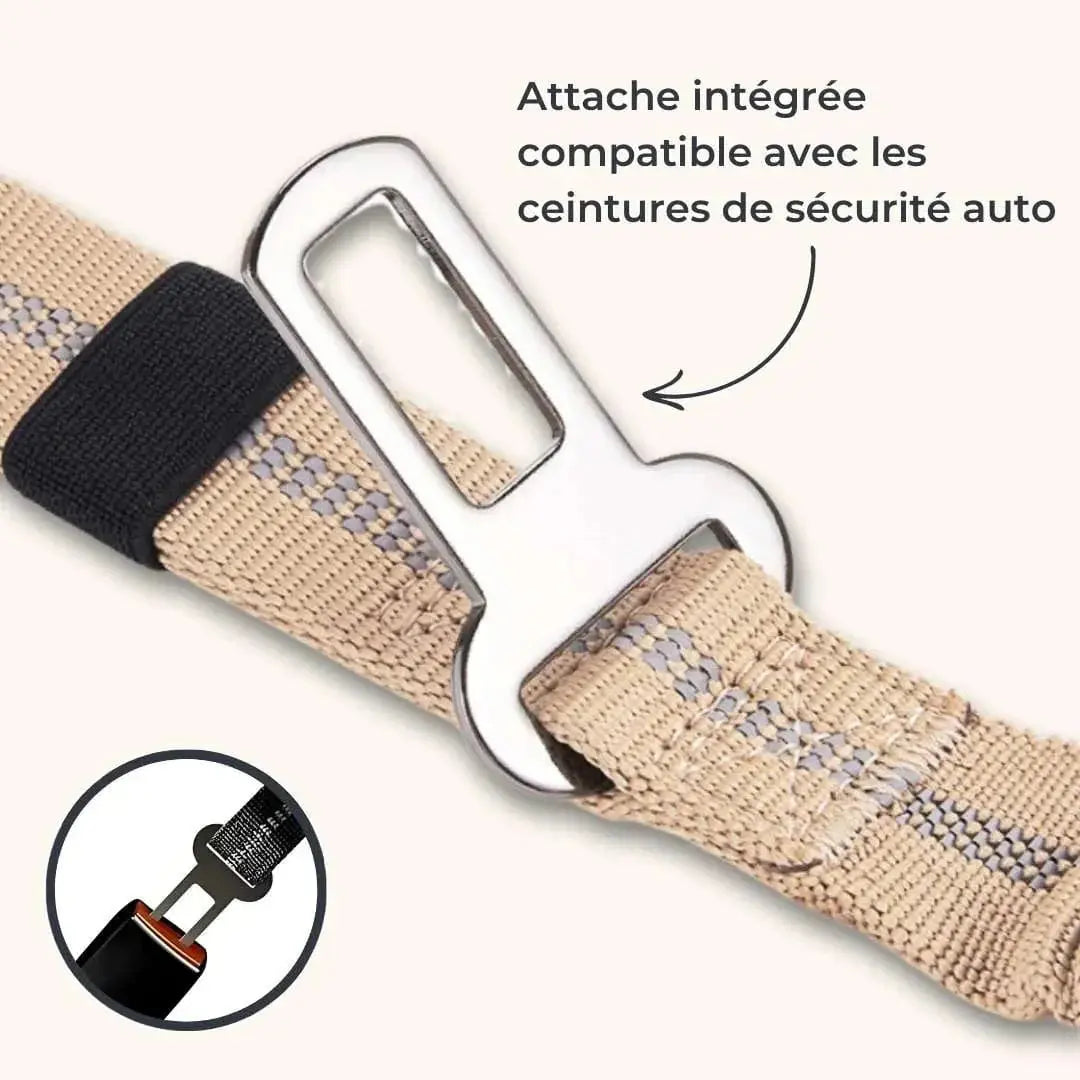 DualGrip – Laisse tactique pour chien double poignée élastique et solide Dog Spirit