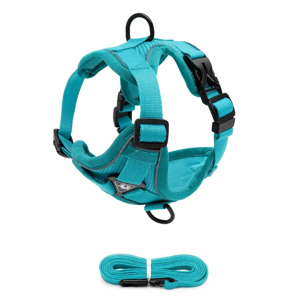 Ensemble Harnais + Laisse pour Chien – Confort Anti-Traction, Réglable et Réfléchissant Dog Spirit