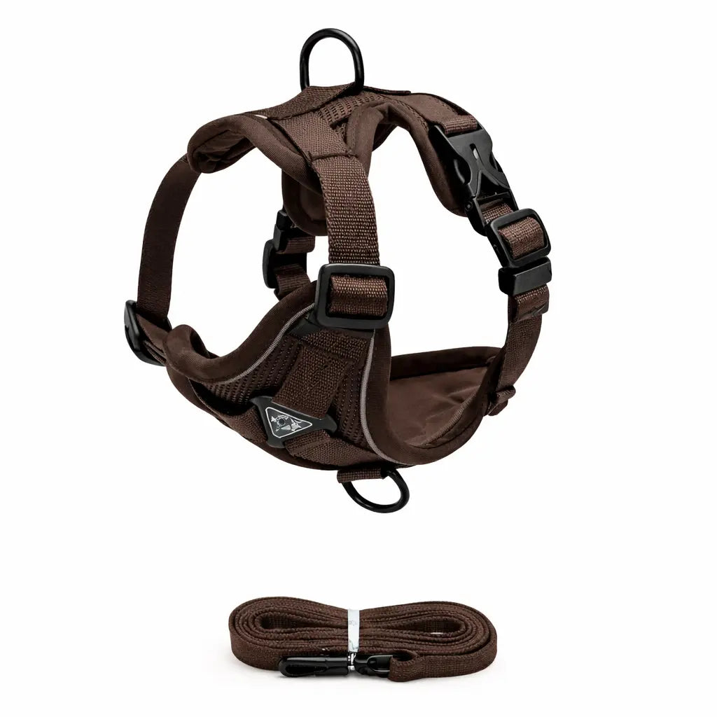 Ensemble Harnais + Laisse pour Chien – Confort Anti-Traction, Réglable et Réfléchissant Dog Spirit