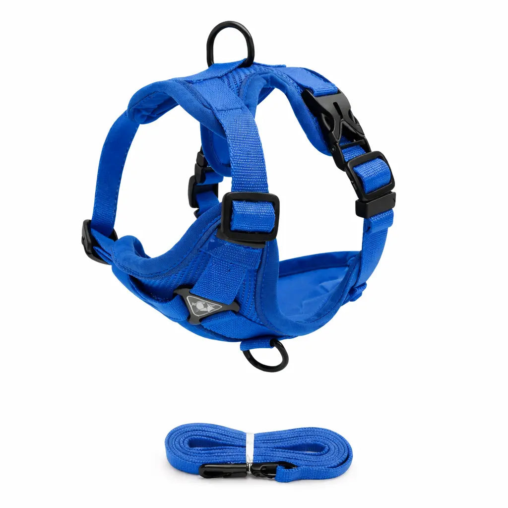 Ensemble Harnais + Laisse pour Chien – Confort Anti-Traction, Réglable et Réfléchissant Dog Spirit