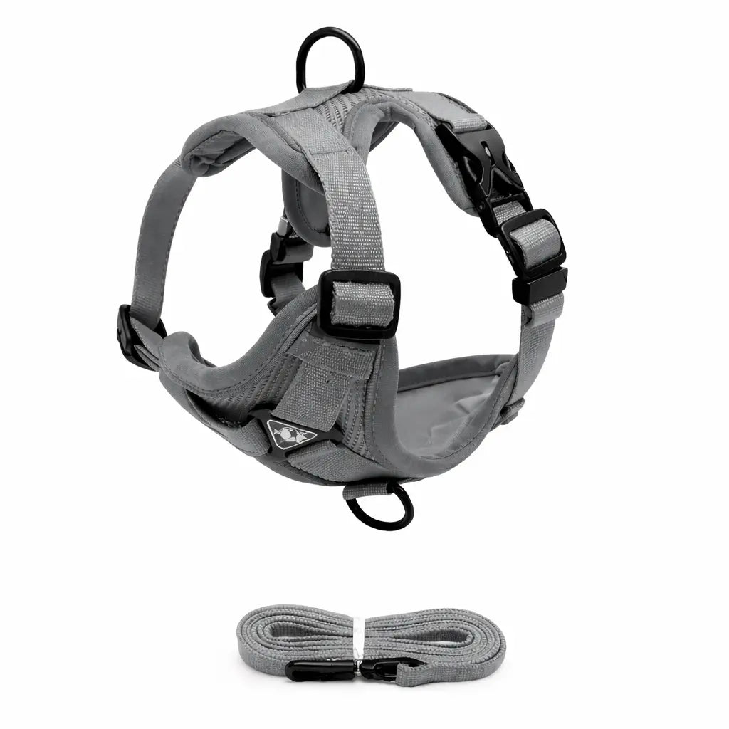 Ensemble Harnais + Laisse pour Chien – Confort Anti-Traction, Réglable et Réfléchissant Dog Spirit