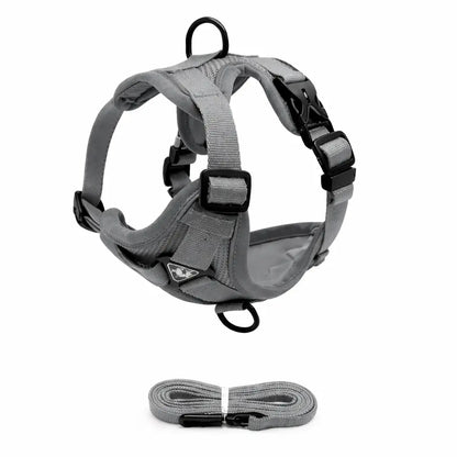 Ensemble Harnais + Laisse pour Chien – Confort Anti-Traction, Réglable et Réfléchissant Dog Spirit