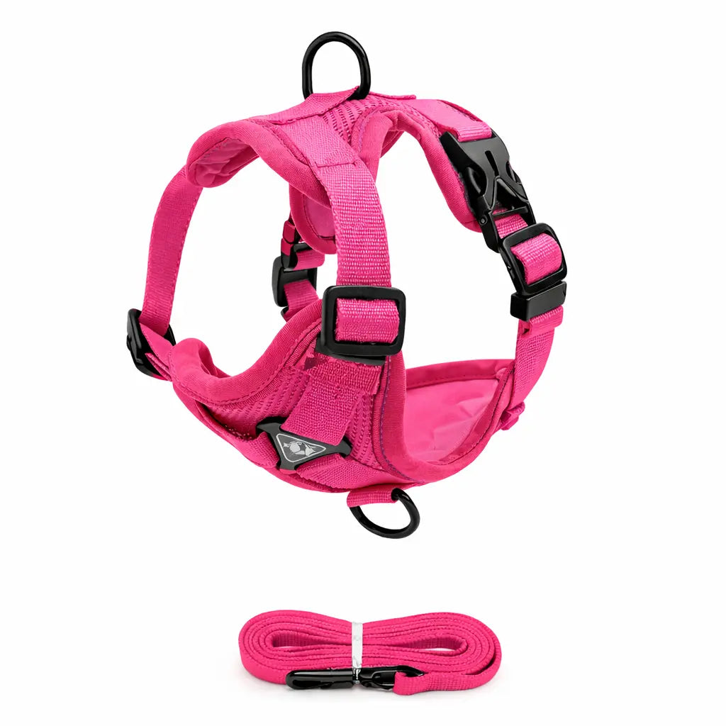 Ensemble Harnais + Laisse pour Chien – Confort Anti-Traction, Réglable et Réfléchissant Dog Spirit