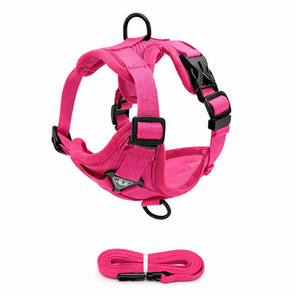 Ensemble Harnais + Laisse pour Chien – Confort Anti-Traction, Réglable et Réfléchissant Dog Spirit