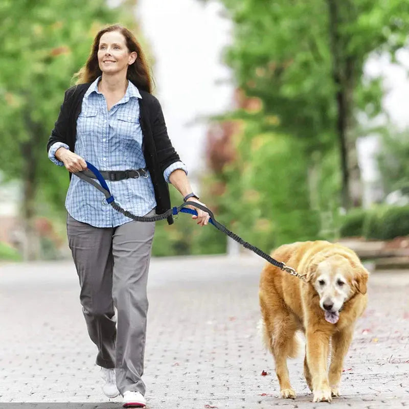 Canicross | Laisse Mains Libres Ceinture Premium Dog Spirit