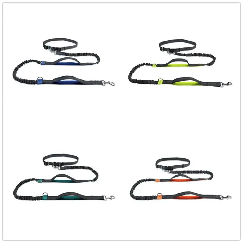 Canicross | Laisse Mains Libres Ceinture Premium Dog Spirit