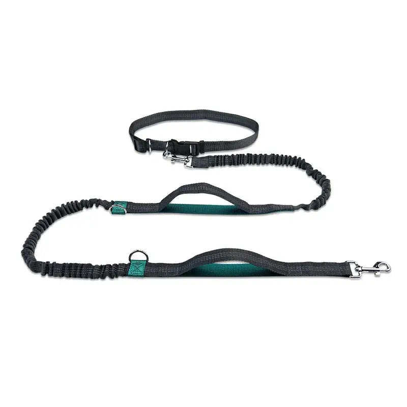 Canicross | Laisse Mains Libres Ceinture Premium Dog Spirit