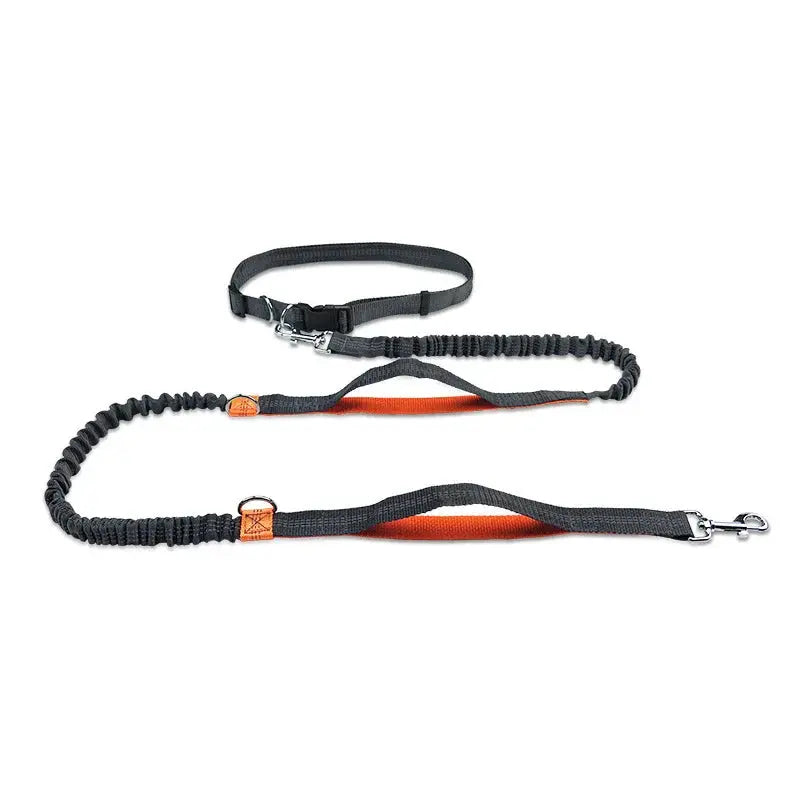 Canicross | Laisse Mains Libres Ceinture Premium Dog Spirit