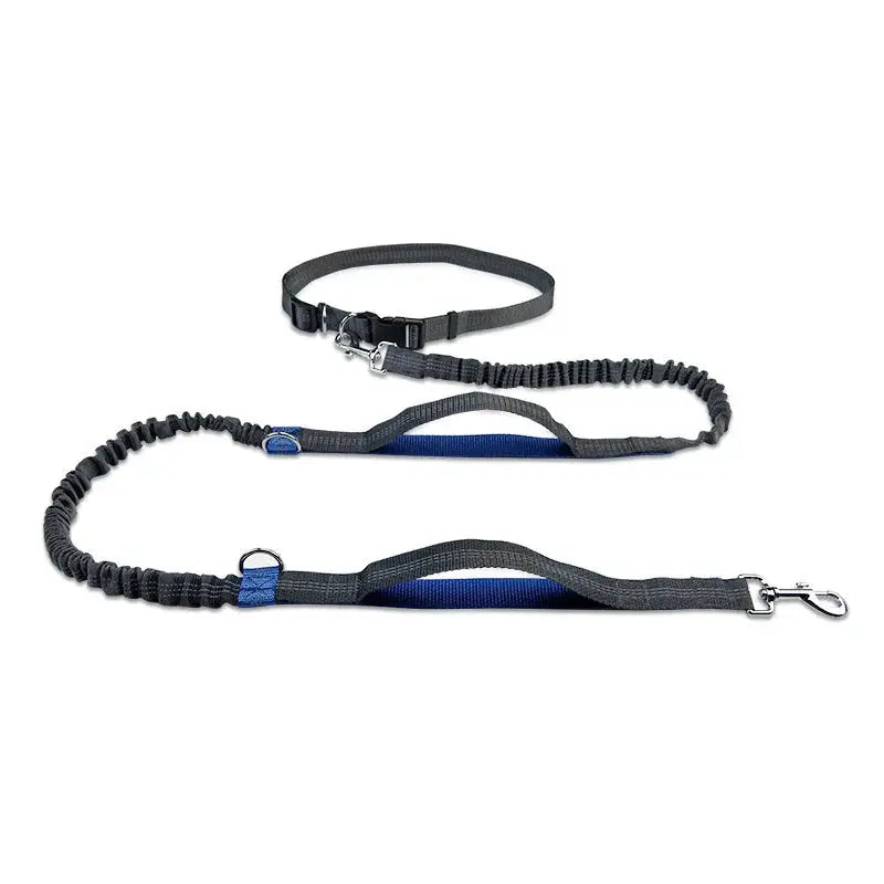 Canicross | Laisse Mains Libres Ceinture Premium Dog Spirit