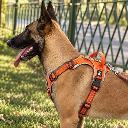 Harnais Chien Anti-Traction en Y Rembourré Respirant — Sangles Réglables, Tailles XS à XL jusqu'à 50 kg | Canicross Randonnée Jogging Promenade