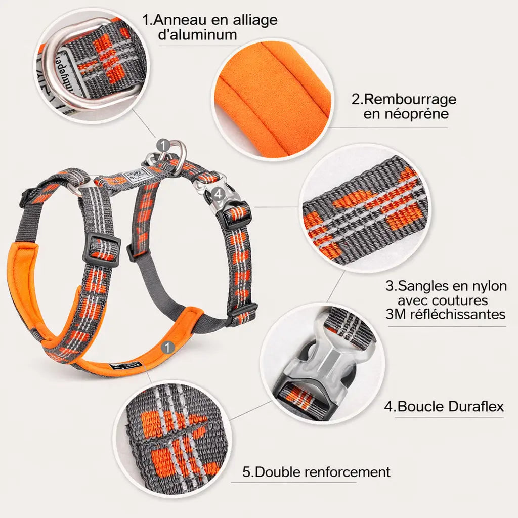 Harnais Chien Réfléchissant TRUELOVE – Respirant, Réglable pour Canicross & Promenade Dog Spirit