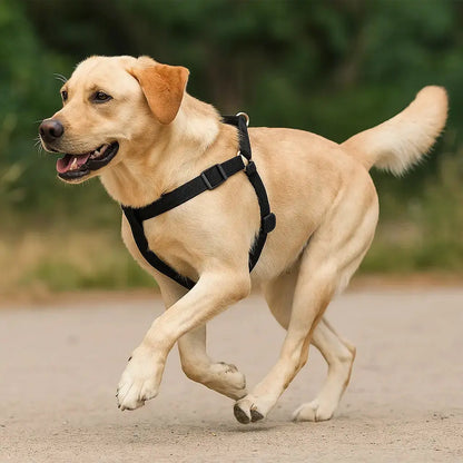 Harnais Chien Réfléchissant TRUELOVE – Respirant, Réglable pour Canicross & Promenade Dog Spirit
