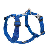 Bleu royal
