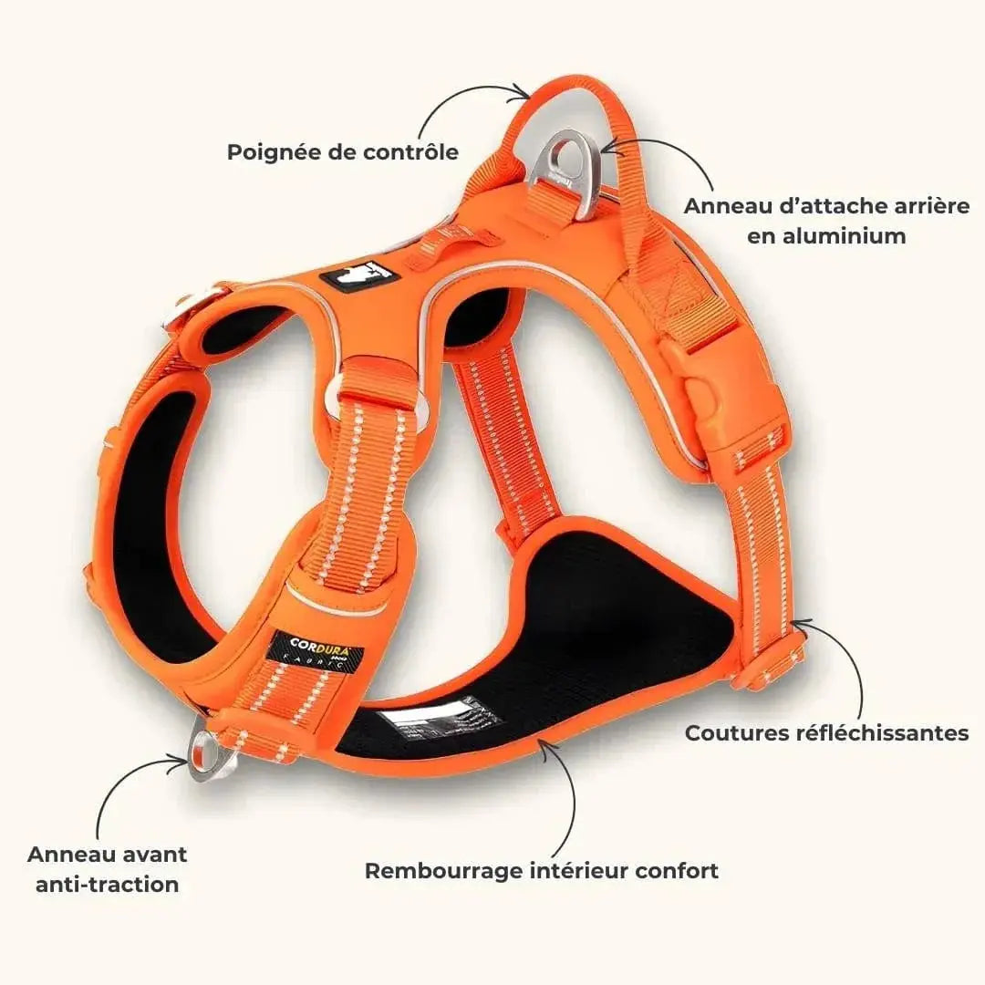 Harnais TrueLove™ Outdoor – Promenades & Canicross en Sécurité, premium Dog Spirit