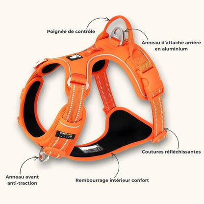 Harnais TrueLove™ Outdoor – Promenades & Canicross en Sécurité, premium Dog Spirit