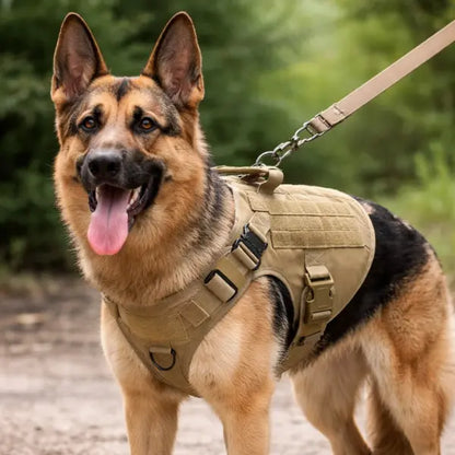Harnais chien tactique – Harnais militaire avec MOLLE, polyvalent et durable Dog Spirit