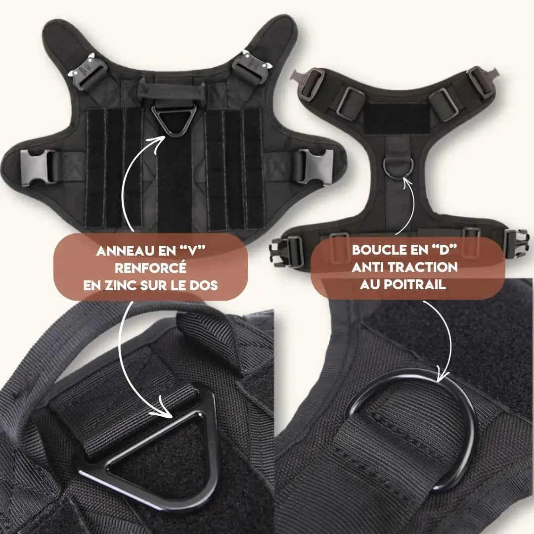 Harnais chien tactique – Harnais militaire avec MOLLE, polyvalent et durable Dog Spirit