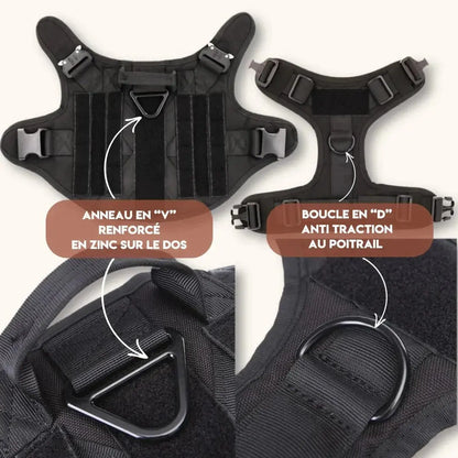 Harnais chien tactique – Harnais militaire avec MOLLE, polyvalent et durable Dog Spirit